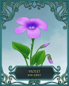 Quinn's Aquarium New Jersey State Flowers Badge