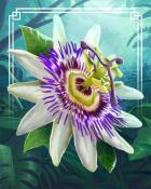 Blue Passion Flower Tropical Flowers Badge - Pogo Slots