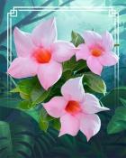 Mahjong Safari HD Brazilian Jasmine Tropical Flowers Badge