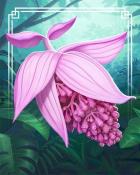 Rose Grape Tropical Flowers Badge - World Class Solitaire HD