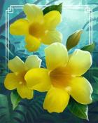Allamanda Tropical Flowers Badge - Tri-Peaks Solitaire HD