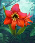 Amaryllis Tropical Flowers Badge - Spades HD