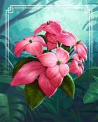 Word Whomp HD Mussaenda Tropical Flowers Badge