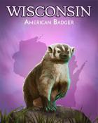 Jungle Gin HD American Badger Wild America Badge