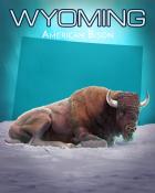 First Class Solitaire HD Wyoming American Bison Wild America Badge