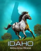 Mahjong Garden HD Appaloosa Horse Wild America Badge