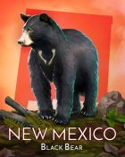 Tri-Peaks Solitaire HD New Mexico Black Bear Wild America Badge