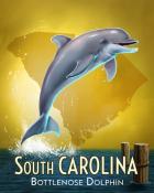 Poppit! Bingo Bottlenose Dolphin Wild America Badge