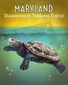 Tri-Peaks Solitaire HD Diamondback Terrapin Turtle Wild America Badge