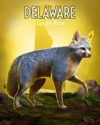 Tri-Peaks Solitaire HD Grey Fox Wild America Badge