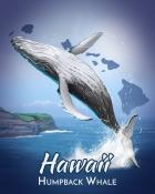 Poppit! Bingo Humpback Whale Wild America Badge