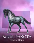 Spades HD Nakota Horse Wild America Badge