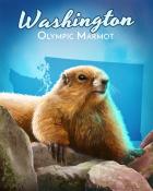 Word Whomp HD Olympic Marmot Wild America Badge