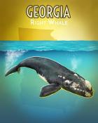 World Class Solitaire HD Right Whale Wild America Badge