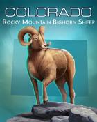 Mahjong Garden HD Rocky Mountain Bighorn Sheep Wild America Badge
