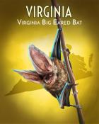 Pogo Slots Virginia Big-Eared Bat Wild America Badge