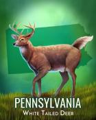Canasta HD Pennsylvania White-Tailed Deer Wild America Badge