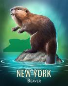 Word Whomp HD Beaver Wild America Badge