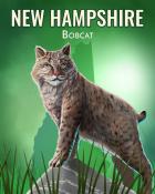 Mahjong Safari HD Bobcat Wild America Badge