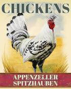 World Class Solitaire HD Appenzeller Spitzhauben Chickens Badge