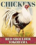 Jungle Gin HD Red Shouldered Yokohama Chickens Badge
