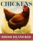 Tri-Peaks Solitaire HD Rhode Island Red Chickens Badge