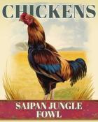 Mahjong Sanctuary Saipan Jungle Fowl Chickens Badge