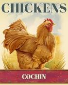 World Class Solitaire HD Cochin Chickens Badge