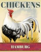 Word Whomp HD Hamburg Chickens Badge