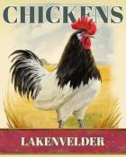 Canasta HD Lakenvelder Chickens Badge