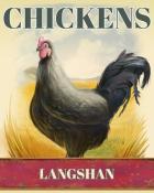 Word Whomp HD Langshan Chickens Badge
