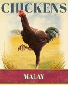 Sweet Tooth Town Malay Chickens Badge