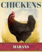 Tri-Peaks Solitaire HD Marans Chickens Badge