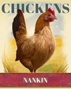 Jungle Gin HD Nankin Chickens Badge
