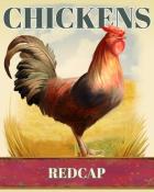 Tri-Peaks Solitaire HD Redcap Chickens Badge