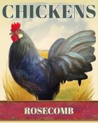Mahjong Safari HD Rosecomb Chickens Badge