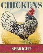 World Class Solitaire HD Sebright Chickens Badge