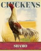 Mahjong Garden HD Shamo Chickens Badge