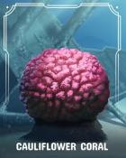 Tri-Peaks Solitaire HD Cauliflower Corals Badge