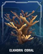 Spades HD Elkhorn Corals Badge