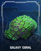 First Class Solitaire HD Galaxy Corals Badge