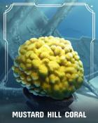 Word Whomp HD Mustard Hill Corals Badge