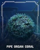 Jungle Gin HD Pipe Organ Corals Badge