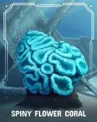 Mahjong Safari HD Spiny Flower Corals Badge