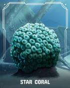 Canasta HD Star Corals Badge