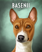 Tri-Peaks Solitaire HD Basenji Badge