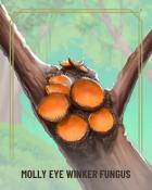 Word Whomp HD Molly Eye-Winker Fungi Badge