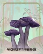 Spades HD Wood Blewit Fungi Badge