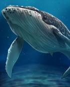 Quinn's Aquarium White Humpback Whale Badge