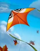 First Class Solitaire HD Gazing Eyes Kites Badge